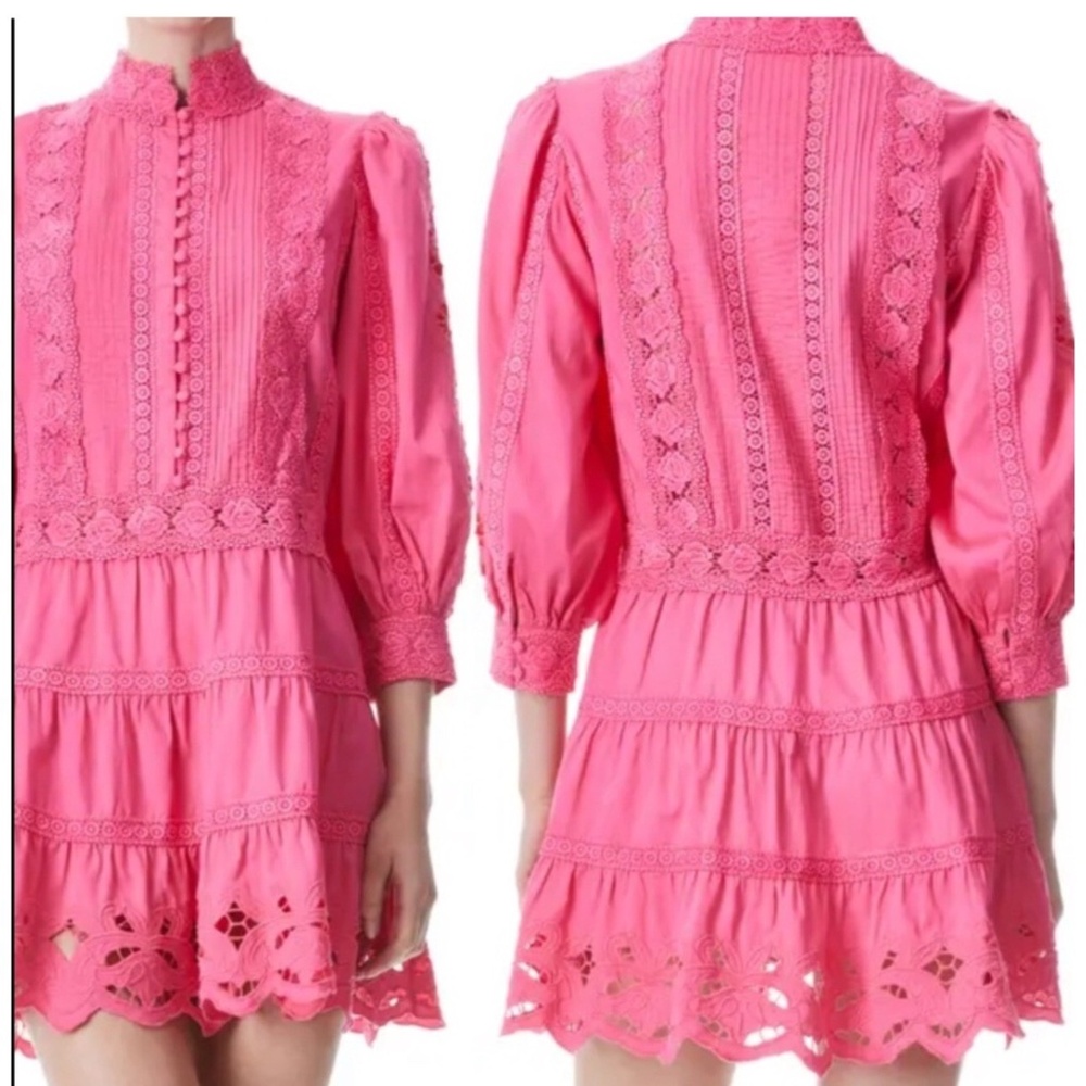 Alice + Olivia Embroidered Dress